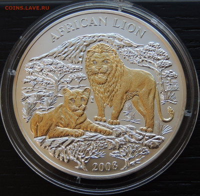 Руанда 1000 франков    2 монеты: Африканский лев и Год тигра - DSCN1134.JPG