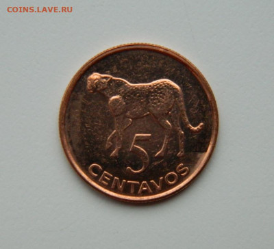 Мозамбик 5 сентаво 2006 г. (Фауна) С рубля! до 20.11.23 - DSCN7160.JPG