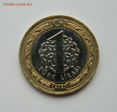Турция 1 лира 2020 г. (Юбилейная) БИМ до 20.11.23 - DSCN7162.JPG