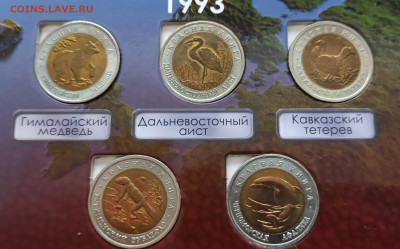 Красная книга 1991-94гг. Полный комплект, в альбоме. - IMG_20231115_135128