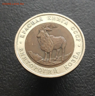 5 рублей 1991 года. К.К. КОЗЁЛ. До 21.11. - 20231111_102328.JPG