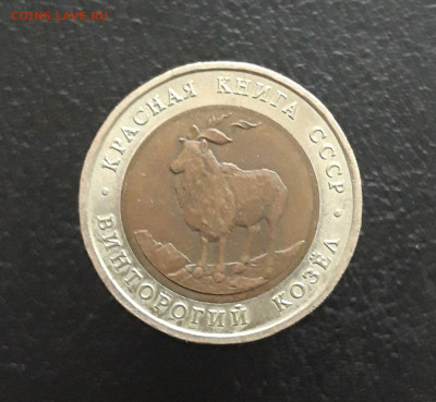 5 рублей 1991 года. К.К. КОЗЁЛ. До 21.11. - 20231111_102323.JPG