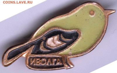ИВОЛГА до 22.11.23 г. в 23.00 - 040