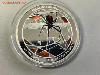 1дол 2011 Тувалу - Красноспинный паук , Ag999, до 20.11 - ЯЯ Опасные Паук-1