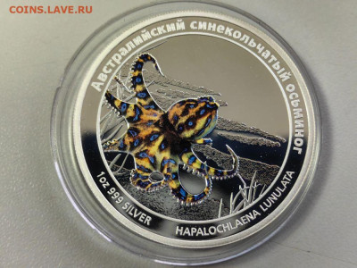 1дол 2011 Тувалу - Синекольчатый осьминог , Ag999, до 22.11 - ЯЯ Опасные Осьминог-1
