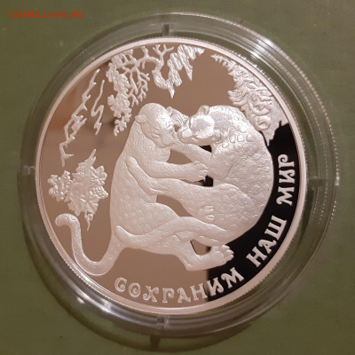 25р 2011 Переднеазиатский леопард. Сохраним наш мир 155.5 - 20231116_181654