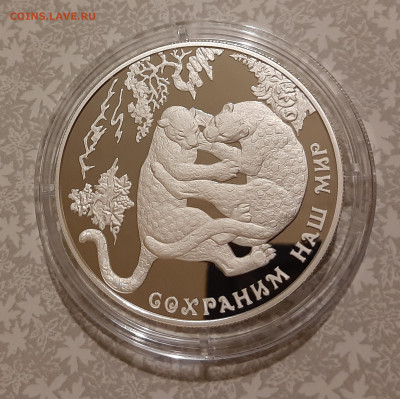 25р 2011 Переднеазиатский леопард. Сохраним наш мир 155.5 - 20231116_181545
