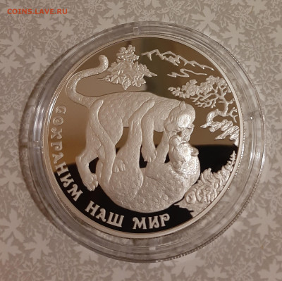 25р 2011 Переднеазиатский леопард. Сохраним наш мир 155.5 - 20231116_181538