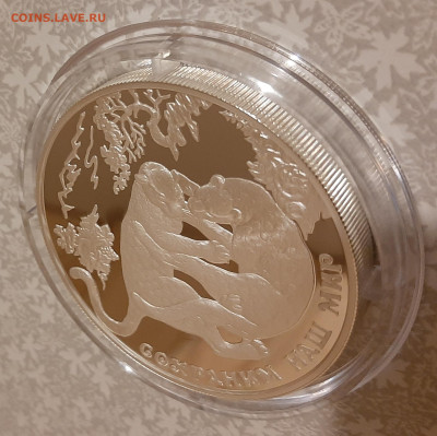 25р 2011 Переднеазиатский леопард. Сохраним наш мир 155.5 - 20231116_181524