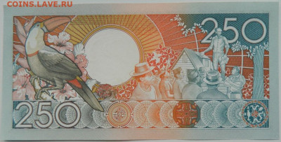 Суринам 250 гульденов 1988 г. С рубля! до 21.11.23 - DSCN7218.JPG