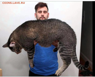 Ассоциация слов. - Screenshot_2023-11-17-03-38-03-089