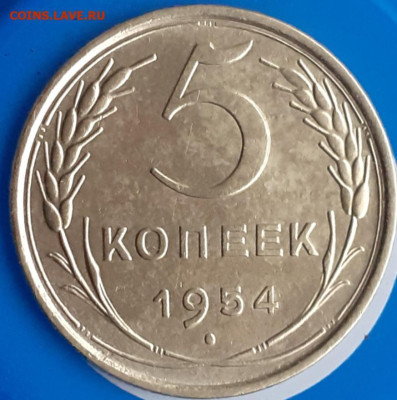 5 копеек 1954. До 22.11. - 20231029_083055