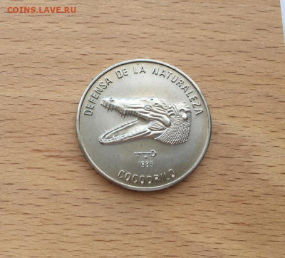 Куба 1 песо 1985 Природный заповедник - Кубинский крокодил - kuba_1_peso_1985_prirodnyj_zapovednik_kubinskij_krokodil_golova_fauna_zhivotnye