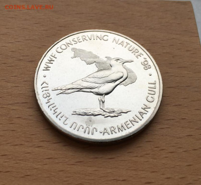 Армения 100 драм драмов 1998 Армянская Чайка XF фауна птица - armenija_100_dram_dramov_1998_armjanskaja_chajka_xf_fauna_fond_dikoj_prirody_shajba_redkost (4)