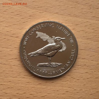 Армения 100 драм драмов 1998 Армянская Чайка XF фауна птица - armenija_100_dram_dramov_1998_armjanskaja_chajka_xf_fauna_fond_dikoj_prirody_shajba_redkost (2)