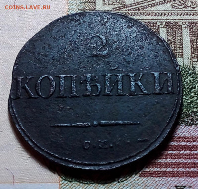 2 копейки 1831 см до 19.11.23 в 22.00 по Москве - 20231116_174326