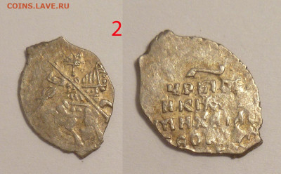 Чешуйки на определение. - 0002-048