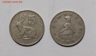 Зимбабве 5 центов 1980 года заяц - 23.11 - IMG_20231113_193939