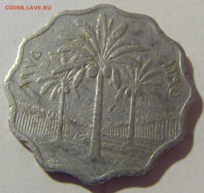 5 филс 1975 Ирак №2 25.11.23 22:00 М - CIMG0233.JPG