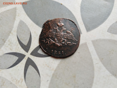 1 копейка 1831 СМ до 23.11.2023 - 1831 (16)