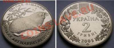 Крот (Слепыш песчаный), фауна Украины; до 06.01.12, 22мск - крот_т