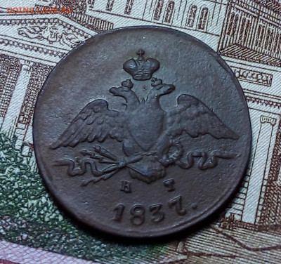 1 копейка 1837 до 23.11.23 в 22.00 по Москве - 20231120_185310