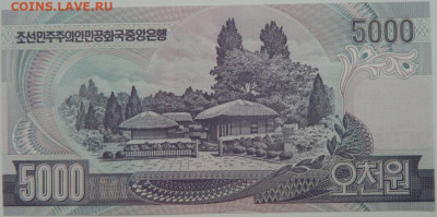 Северная Корея (КНДР) 5000 вон 2006 г. С рубля! до 27.11.23 - DSCN7367.JPG