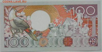 Суринам 100 гульденов 1986 г. С рубля! до 27.11.23 - DSCN7024.JPG