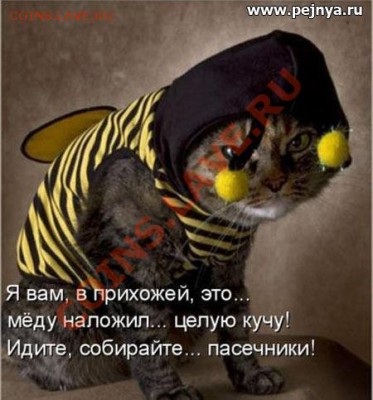 юмор - 10-11