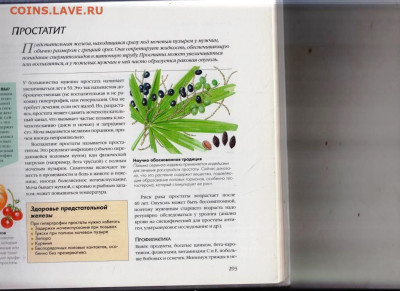 ЛЕЧЕНИЕ БЕЗ ЛЕКАРСТВ 2001 г. до 29.11.23 в 23.00 - 060