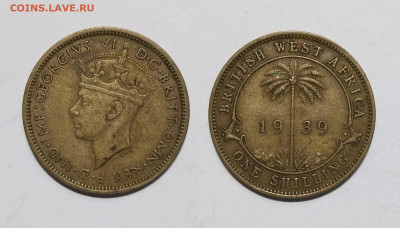 Британская Западная Африка 1 шиллинг 1939г Георг VI - 29.11 - IMG_20231121_180918