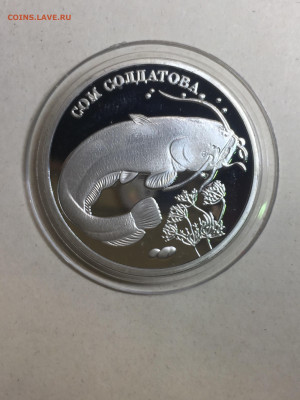 2 руб 2014, К.К. Сом Солдатова, до 02.12.2023 - 539692AB-F31C-4AB0-8727-FBB764D8014E