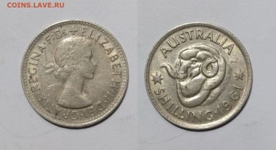 Австралия шиллинг 1961 г Елизавета II - 30.11 - IMG_20231122_100357