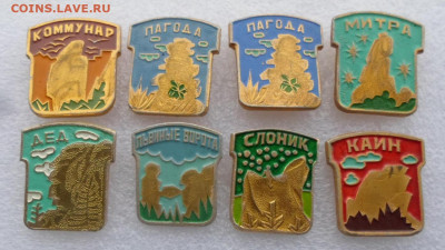 Красноярск Заповедник "Столбы" до 29.11 - SAM_9020.JPG