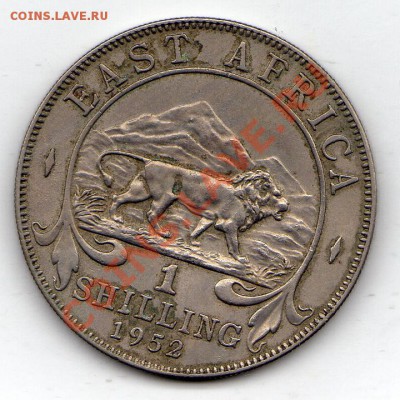 Брит.Вост.Африка шиллинг 1952 Лев до 10.01.12 в 22.00мск - img823