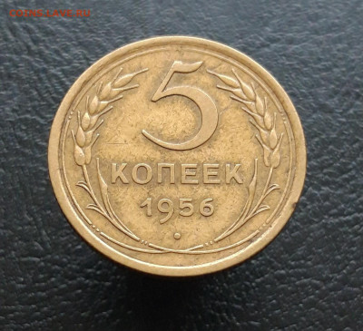 5 копеек 1956 год. До 03.12. - 20231117_135401.JPG