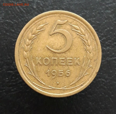5 копеек 1956 год. До 03.12. - 20231117_135349.JPG