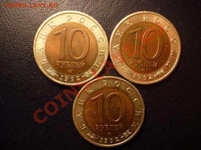 красная книга-92, до 6.01 22-00 - P1050058.JPG
