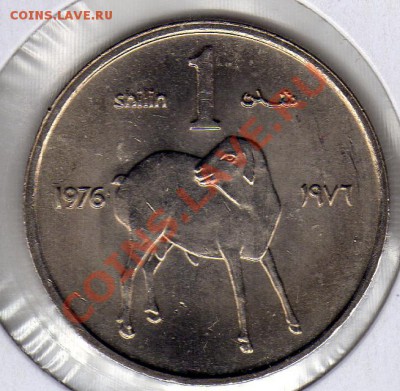 Сомали шиллинг 1976 ФАО Ягненок до 10.01.12 в 22.00мск - img873