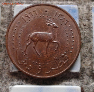 Катар и Дубай. 5 дирхамов 1966 (١٩٦٦) год. Джейран. - 20231123_130543