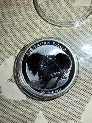 1 Доллар  Австралия 2014  Австралийский Коала до 04.12 - l-y7ZyeAcVQ