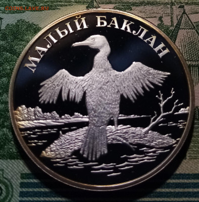 К.К. 1 руб 2003 г Малый баклан до 3.12 в 22.20 мск - баклан1