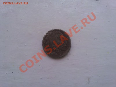 бизон - 5центовиндеец