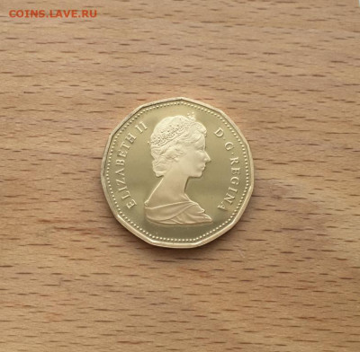 Канада 1 доллар 1987 Гагра птица фауна Пруф Proof капсула - kanada_1_dollar_1987_gagra_ptica_fauna_pruf_proof_kapsula (2)