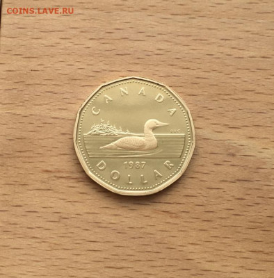 Канада 1 доллар 1987 Гагра птица фауна Пруф Proof капсула - kanada_1_dollar_1987_gagra_ptica_fauna_pruf_proof_kapsula (3)