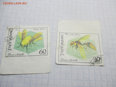 2 марки Вьетнам 1982 года . БЗ. - IMG_0547.JPG