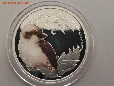 50 центов 2012 Австралия- Кукабарра, Ag999, до 07.12 - Я Кукабарра 50цент-1