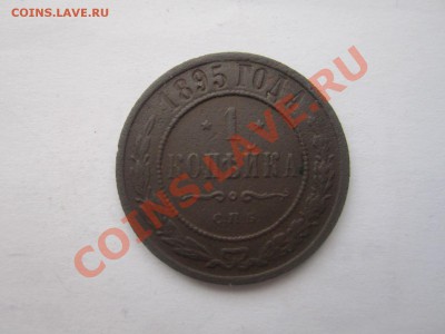 1к 1895г спб до 08.01.12 в 22:00мск - IMG_0393