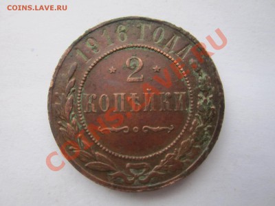 1к 1895г спб до 08.01.12 в 22:00мск - IMG_0397