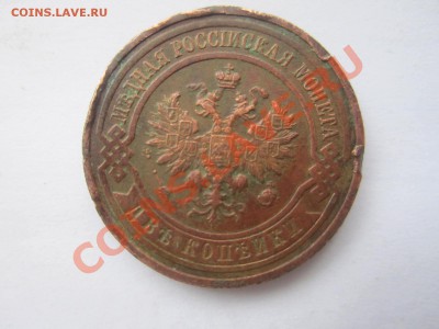 1к 1895г спб до 08.01.12 в 22:00мск - IMG_0398
